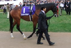 アンライバルド