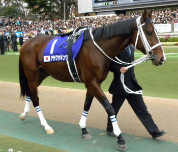 アサクサキングス