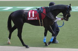 �r�b�N�E�C�[�N