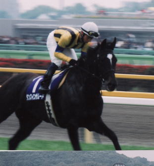 ダンスインザムード