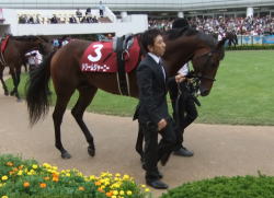 ドリームジャーニー