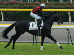 �G�C�V���t���b�V��