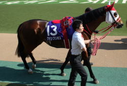 �O�����v���{�X