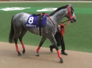 キャプテントゥーレ