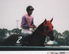 マーベラスサンデー