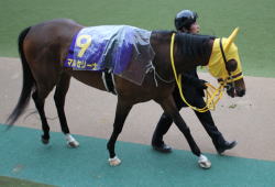 �}���Z���[�i