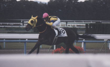 ネオユニヴァース