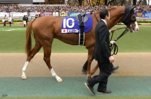 �I�E�P���u���[�X��