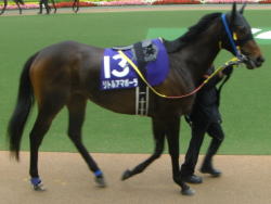 ���g���A�}�|�[��