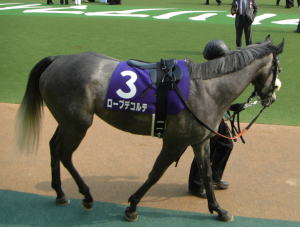 ローブデコルテ