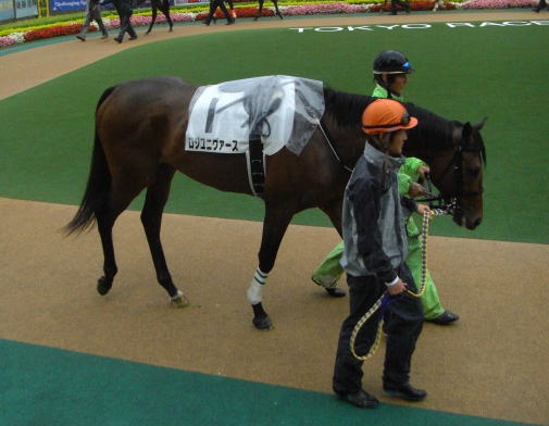 ���W���j���@�[�X