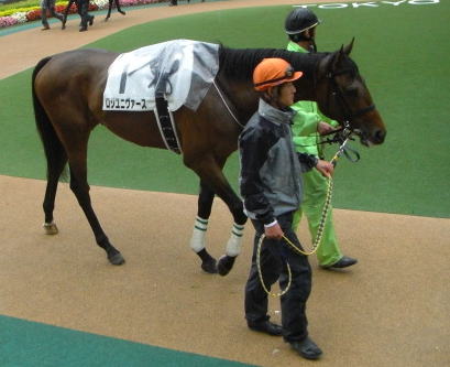 ���W���j���@�[�X