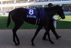 ���[�Y�L���O�_��