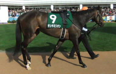 �T���e�~���I��