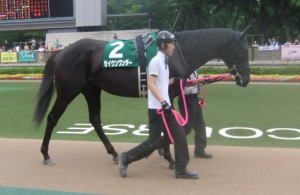 セイウンワンダー