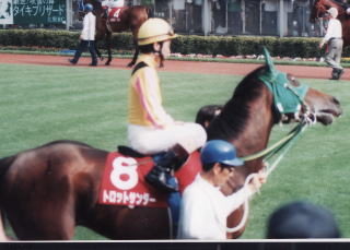 トロットサンダー