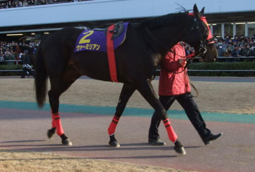 ヴァ―ミリアン