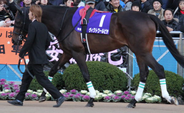 ヴィクトワールピサ