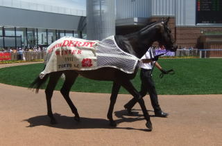 ウイニングチケット