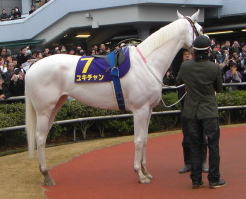 ���L�`����